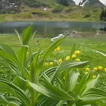 公寓 Residenz Tirol