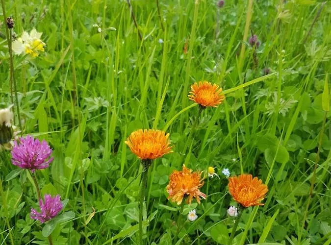 Residenz Tirol * Lechleiten