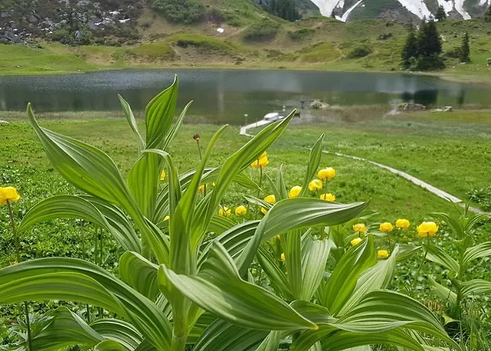 Appartamento Residenz Tirol