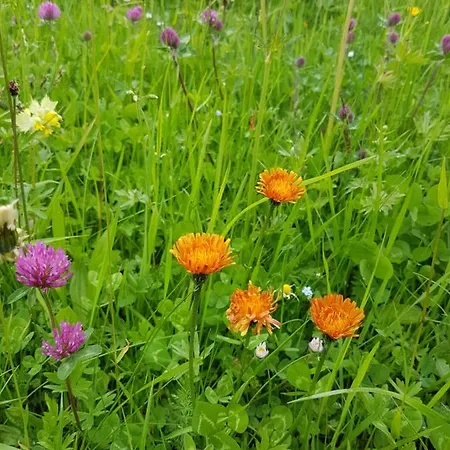 Residenz Tirol * Lechleiten