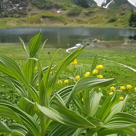 Lägenhet Residenz Tirol