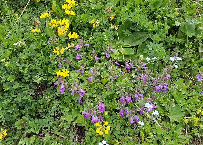 Apartment Residenz Tirol